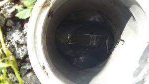 排水管清掃
